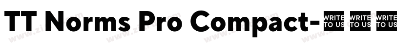 TT Norms Pro Compact字体转换